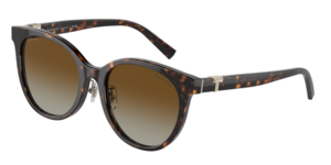 Tiffany & Co. 0TF4209D 8015T5
