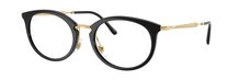 Ray-Ban 0RX7255 2000