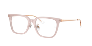 Ray-Ban 0RX5442D 8438