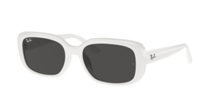 Ray-Ban 0RB4421D 677287