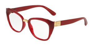 Dolce & Gabbana 0DG5041 1551