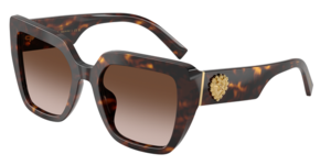 Dolce & Gabbana 0DG4538 502/13