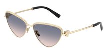 Tiffany & Co. 0TF3107KB 622116