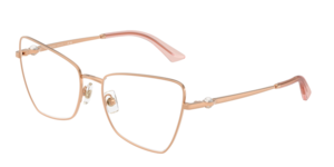 Jimmy Choo 0JC2010HB 3008