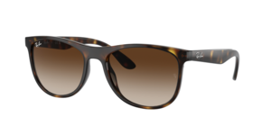 Ray-Ban 0RB4412I 710/13