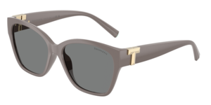 Tiffany & Co. 0TF4254U 840187