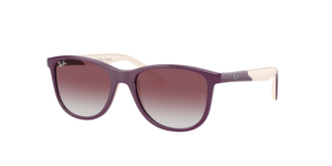 Ray-Ban 0RJ9077S 71348G