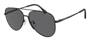 Emporio Armani 0EA2149D 300181