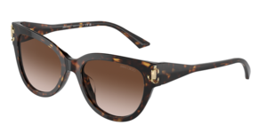 Jimmy Choo 0JC5018U 500213