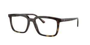 Ray-Ban 0RX7239 2012