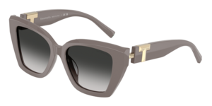 Tiffany & Co. 0TF4239U 84013C