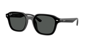 Ray-Ban 0RB4458D 601/87