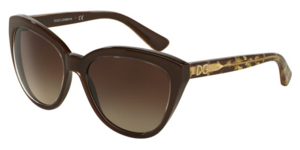 Dolce & Gabbana 0DG4250 291813