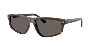 Ray-Ban 0RB2225 710/B1