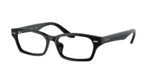 Ray-Ban 0RX5344D 2000