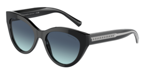 Tiffany & Co. 0TF4220 80019S