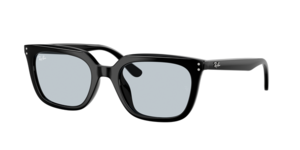 Ray-Ban 0RB4439D 901/72