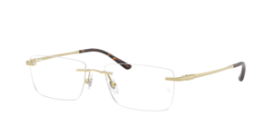 Ray-Ban 0RX8781D 1251