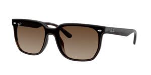 Ray-Ban 0RB4466D 714/13