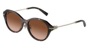 Tiffany & Co. 0TF4210D 80153B