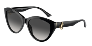 Jimmy Choo 0JC5007 50008G