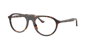 Ray-Ban 0RX5441 2012