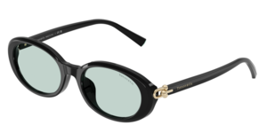 Tiffany & Co. 0TF4242D 8001D9