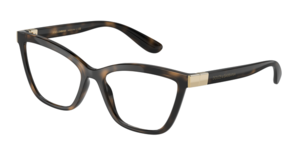 Dolce & Gabbana 0DG5076 502