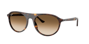 Ray-Ban 0RB2215 902/51