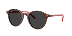 Ray-Ban 0RB2230 141948
