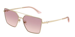 Jimmy Choo 0JC4016HB 300668