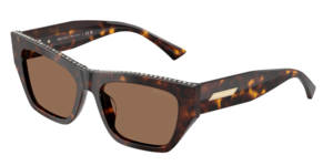 Jimmy Choo 0JC5035BF 500273