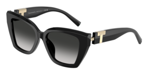 Tiffany & Co. 0TF4239U 80013C