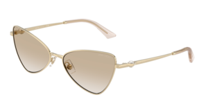 Jimmy Choo 0JC4015HB 300611