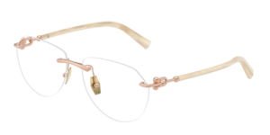 Tiffany & Co. 0TF1173K 6214