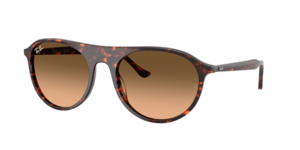 Ray-Ban 0RB2215 14293B