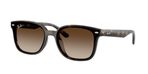 Ray-Ban 0RB4461D 710/13