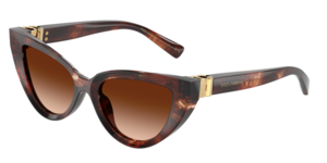 Dolce & Gabbana 0DG4497 322274