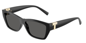 Tiffany & Co. 0TF4255U 8001S4