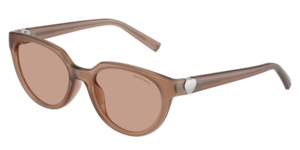 Tiffany & Co. 0TF4256D 844973