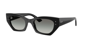 Ray-Ban 0RB4430 667711