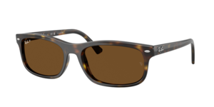 Ray-Ban 0RB2224 710/57