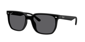 Ray-Ban 0RB4466D 601S81