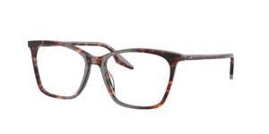 Ray-Ban 0RX5422 8423