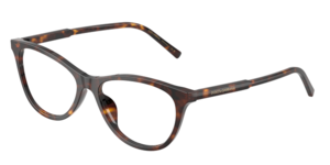 Dolce & Gabbana 0DG3443 502