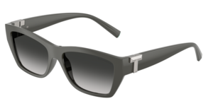 Tiffany & Co. 0TF4255U 84463C
