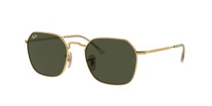 Ray-Ban 0RB3694 001/31