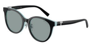 Tiffany & Co. 0TF4209D 8055/1