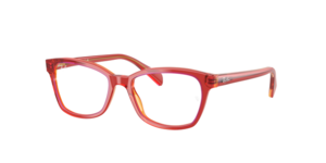 Ray-Ban 0RY1591 3998