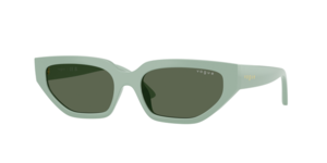 Vogue Eyewear 0VJ2029 320571